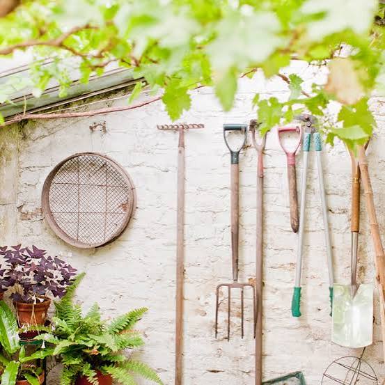 Garden & Landscaping