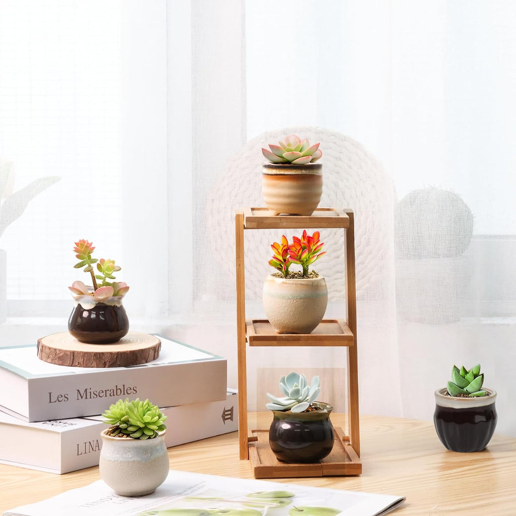 Mini Ceramic Succulent Pots Set of 6, round Tiny Planters with Drainage Holes and Grid Pads, Small Cactus Flower Pots for Windowsill Desk Decor, Gift for Plant Lovers