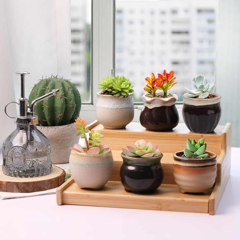 Mini Ceramic Succulent Pots Set of 6, round Tiny Planters with Drainage Holes and Grid Pads, Small Cactus Flower Pots for Windowsill Desk Decor, Gift for Plant Lovers