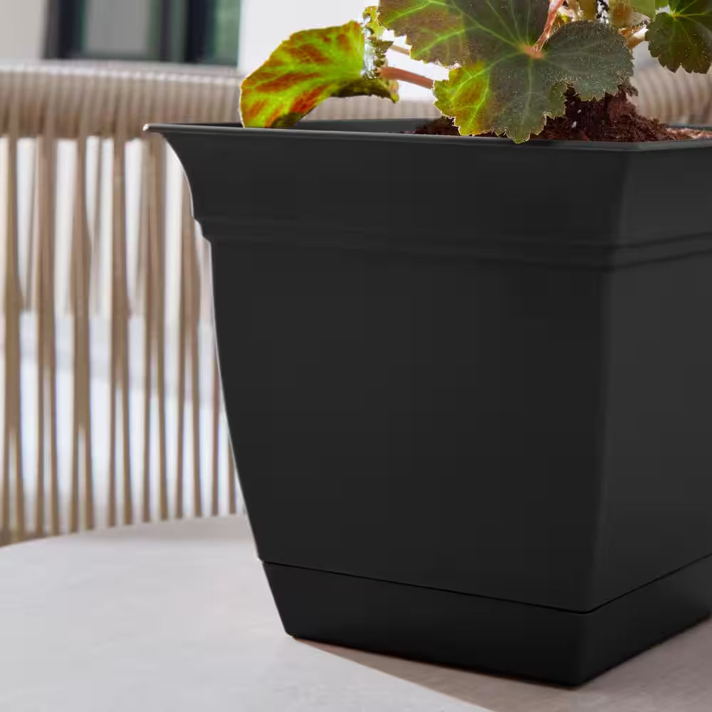 Mirabelle Small Black Plastic Square Planter with Drainage Hole and Attached Saucer (6 In. L X 6 In. W X 5.5 In. H)