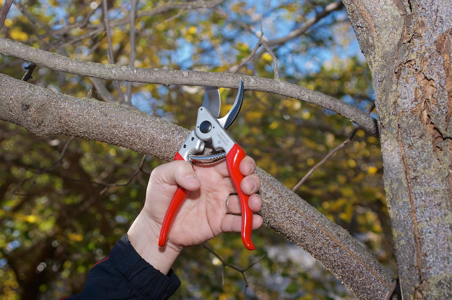 Corona BP 6360 Forged Steel Aluminum Handles Angled Bypass Hand Pruner - 1 Inch Cut Capacity Stem and Branch Garden Shears, Red