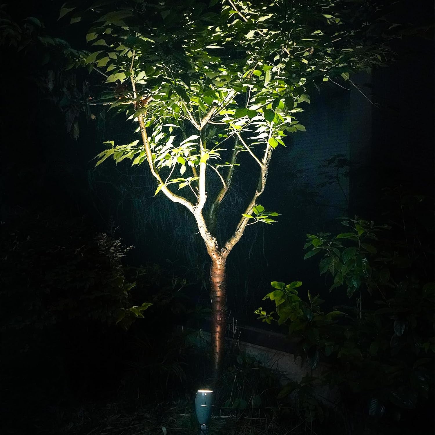 Malibu 35 Watt Floodlight Low Voltage Landscape Lighting Outdoor Spotlight Lighting for Driveway, Yard, Lawn, Flood, Garden, Outdoor Lighting 8303-9606-01