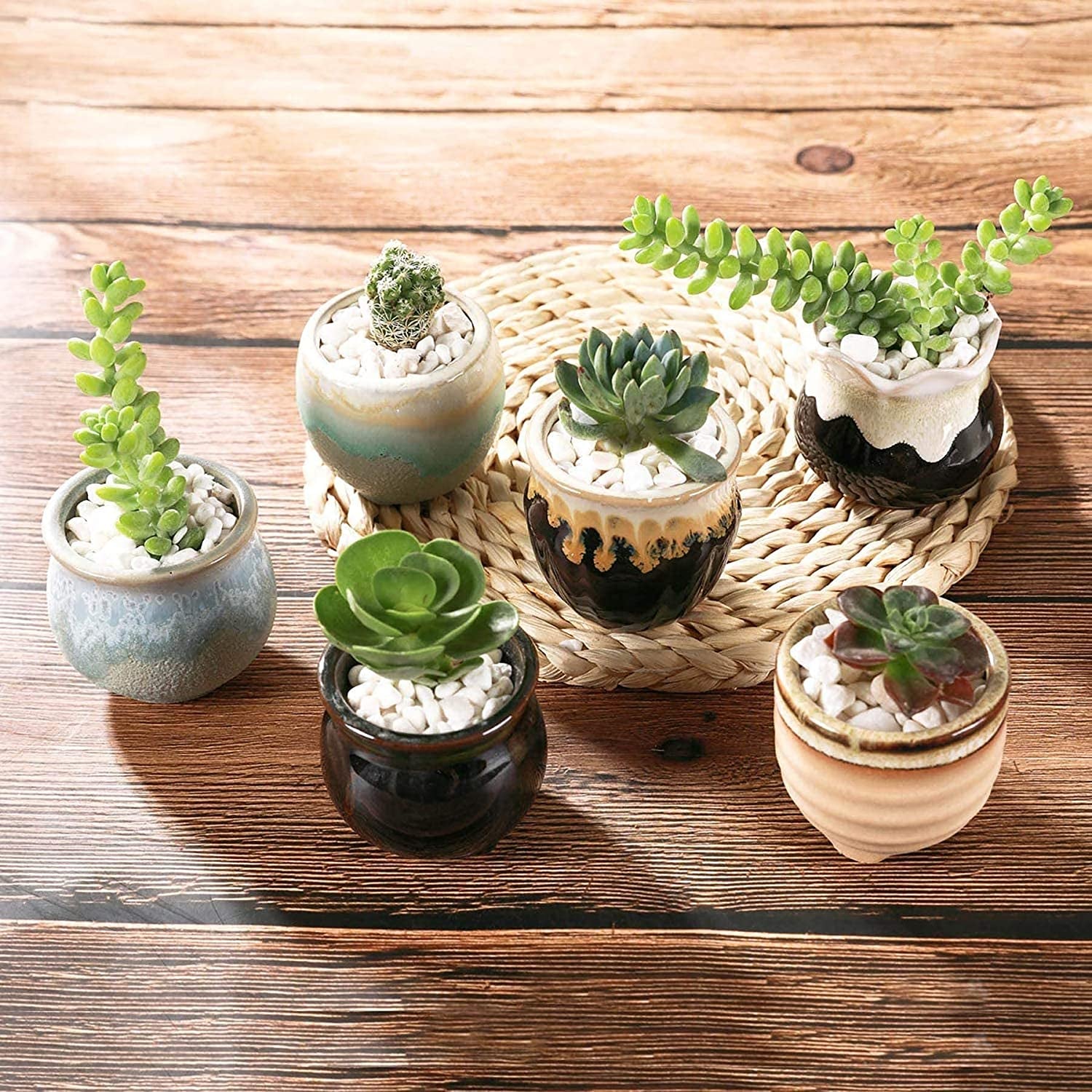 Mini Ceramic Succulent Pots Set of 6, round Tiny Planters with Drainage Holes and Grid Pads, Small Cactus Flower Pots for Windowsill Desk Decor, Gift for Plant Lovers