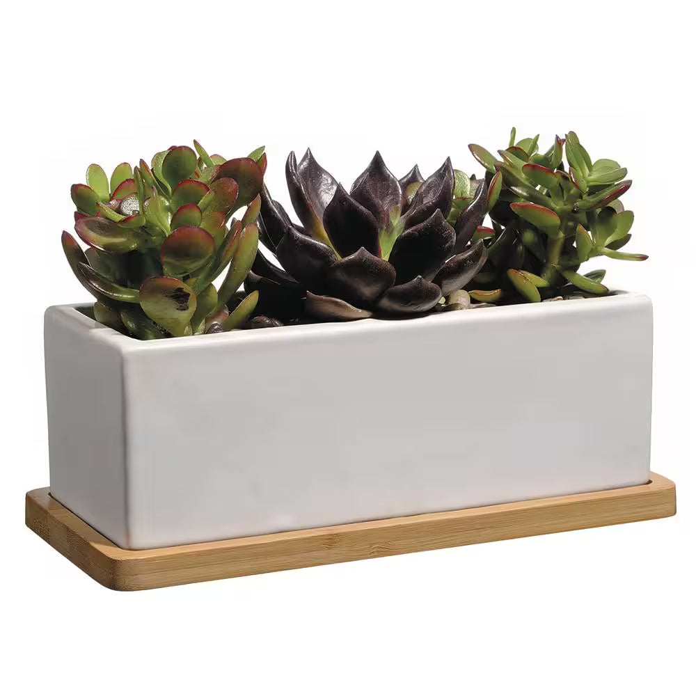 Nipp Medium White Ceramic Rectangle Planter with Attached Tray (9 In. L X 8.5 In. W X 3.4 In. H)