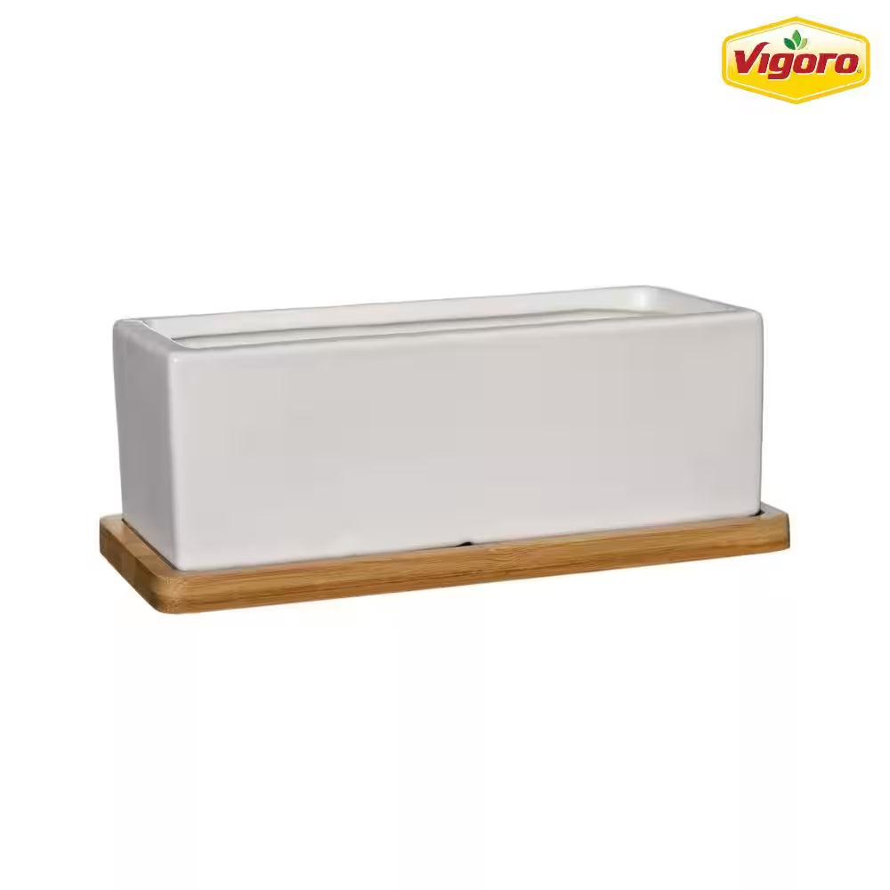 Nipp Medium White Ceramic Rectangle Planter with Attached Tray (9 In. L X 8.5 In. W X 3.4 In. H)