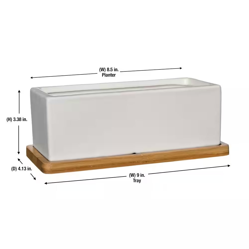 Nipp Medium White Ceramic Rectangle Planter with Attached Tray (9 In. L X 8.5 In. W X 3.4 In. H)