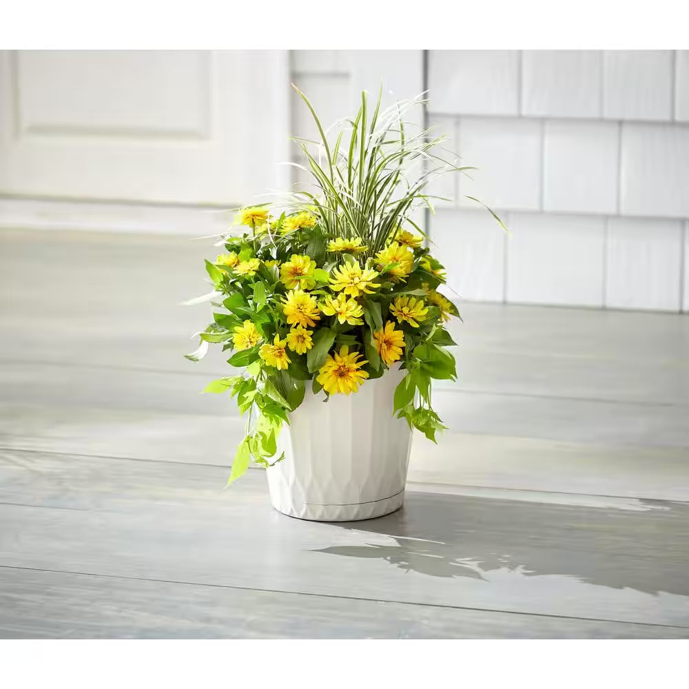 Concord Medium White Plastic Planter with Attached Saucer (10.6 In. L X 10.6 In. W X 9.4 In. H)