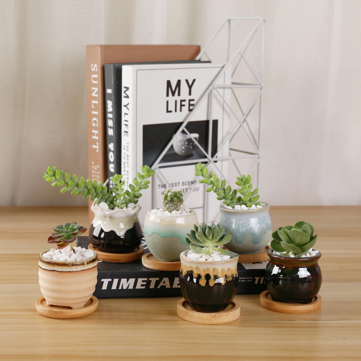 Mini Ceramic Succulent Pots Set of 6, round Tiny Planters with Drainage Holes and Grid Pads, Small Cactus Flower Pots for Windowsill Desk Decor, Gift for Plant Lovers