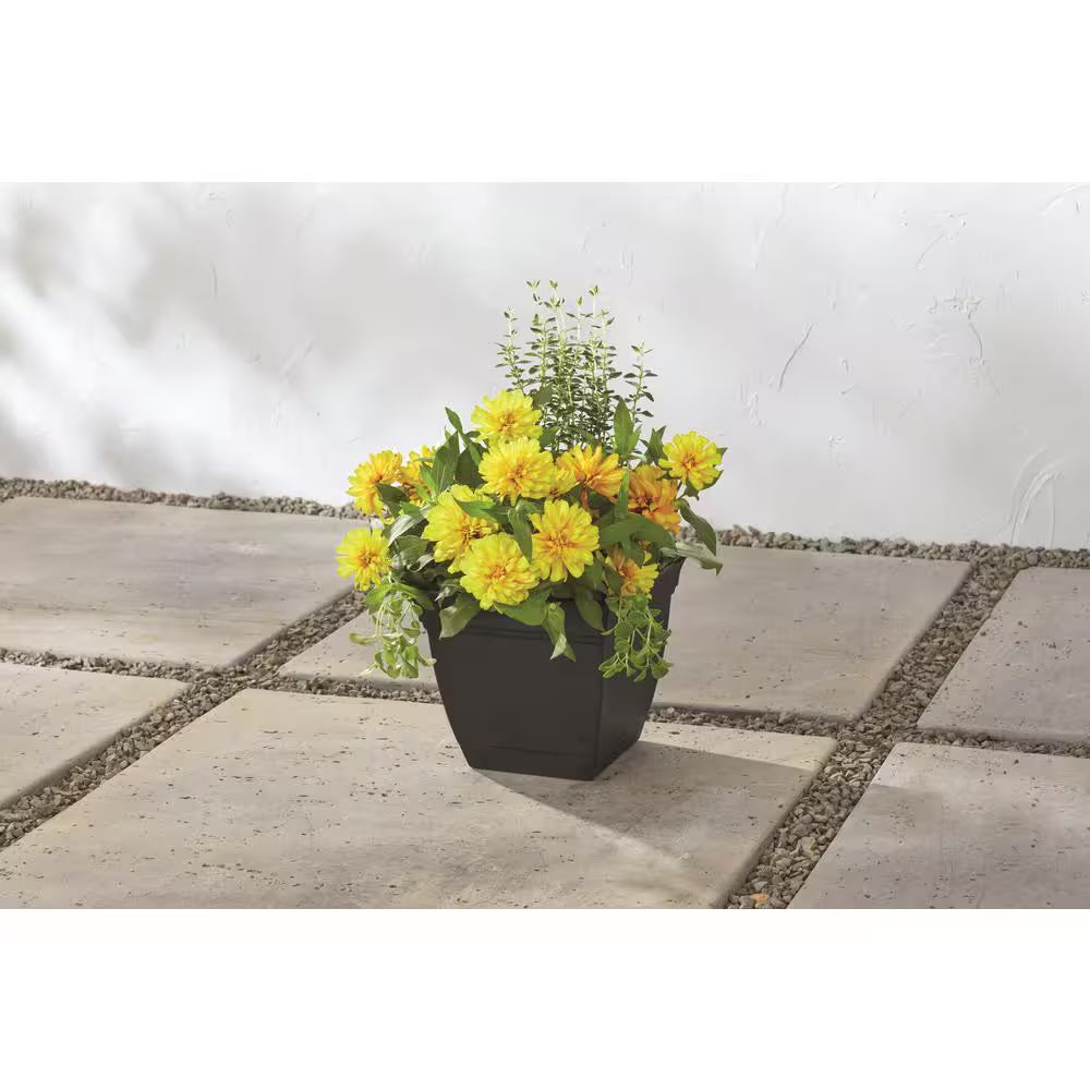 Mirabelle Small Black Plastic Square Planter with Drainage Hole and Attached Saucer (6 In. L X 6 In. W X 5.5 In. H)