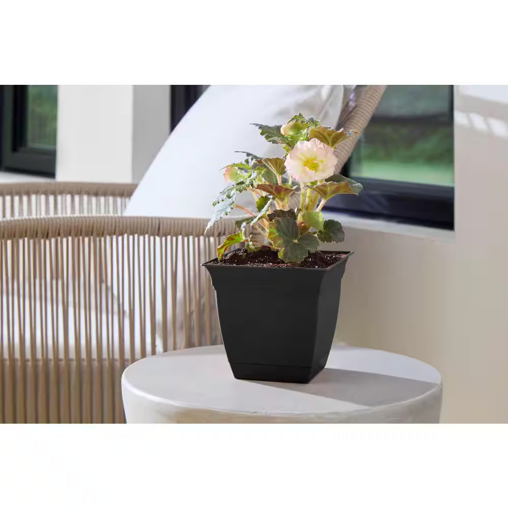 Mirabelle Small Black Plastic Square Planter with Drainage Hole and Attached Saucer (6 In. L X 6 In. W X 5.5 In. H)