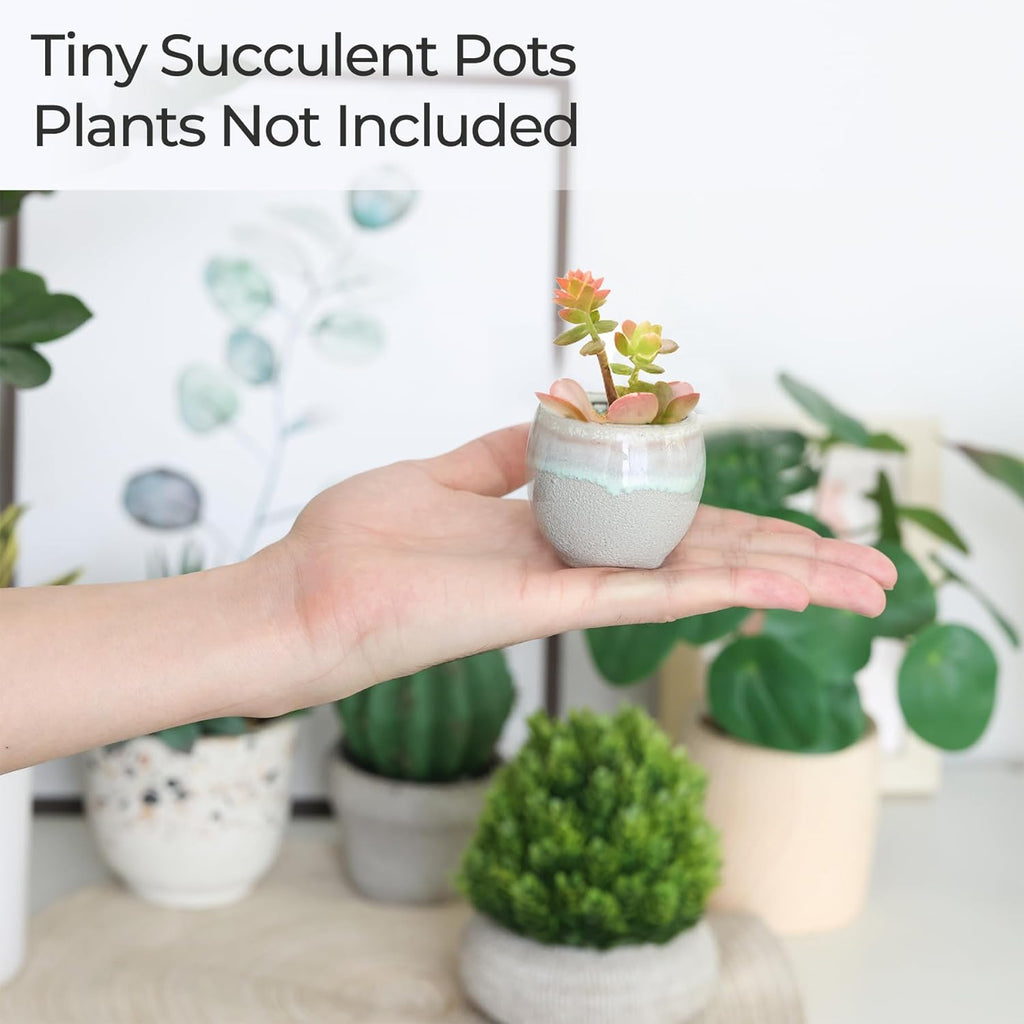 Mini Ceramic Succulent Pots Set of 6, round Tiny Planters with Drainage Holes and Grid Pads, Small Cactus Flower Pots for Windowsill Desk Decor, Gift for Plant Lovers