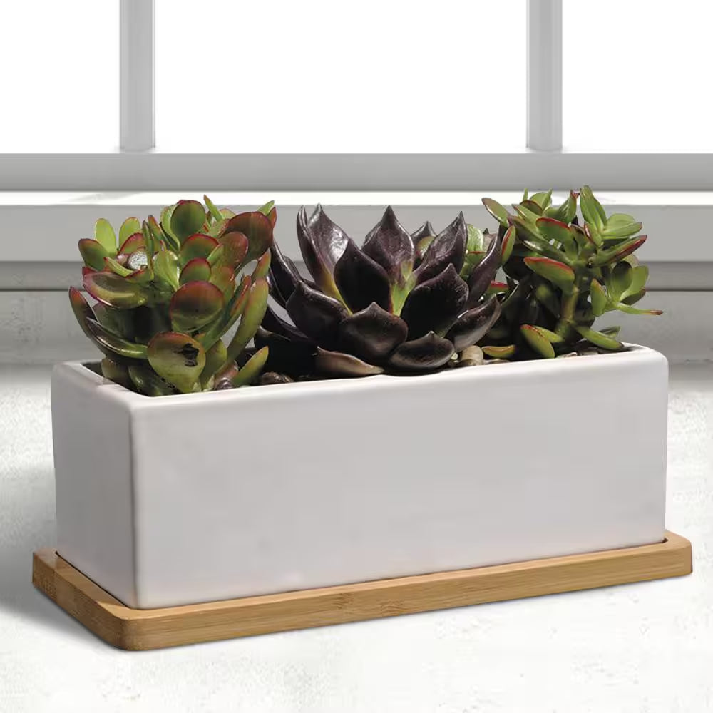 Nipp Medium White Ceramic Rectangle Planter with Attached Tray (9 In. L X 8.5 In. W X 3.4 In. H)