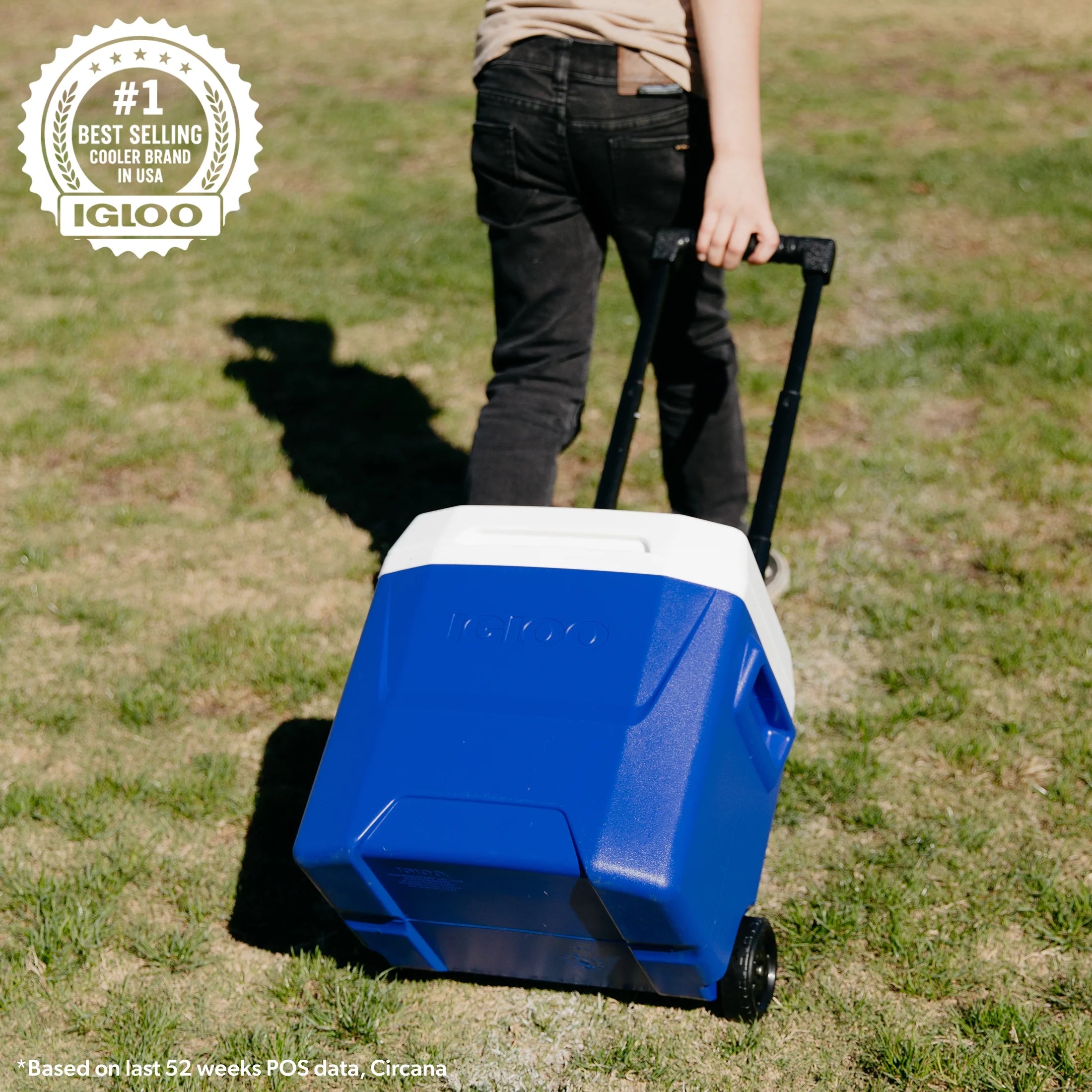 16 QT Laguna Hard Side Ice Chest Cooler with Wheels, Blue