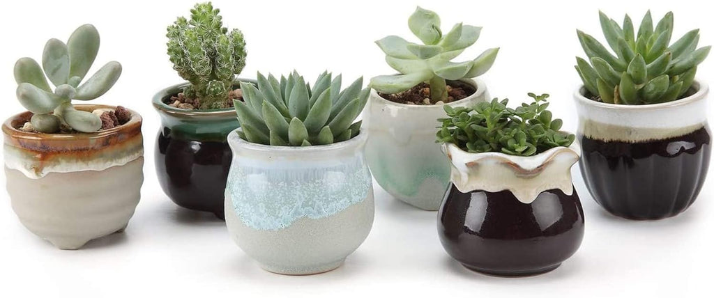 Mini Ceramic Succulent Pots Set of 6, round Tiny Planters with Drainage Holes and Grid Pads, Small Cactus Flower Pots for Windowsill Desk Decor, Gift for Plant Lovers