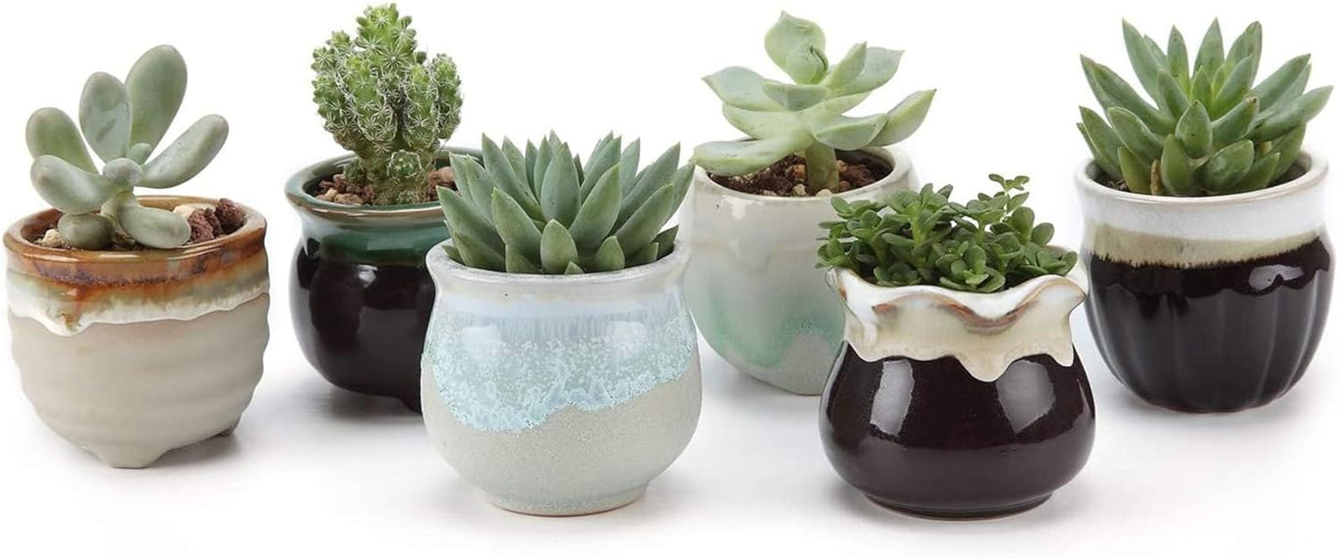Mini Ceramic Succulent Pots Set of 6, round Tiny Planters with Drainage Holes and Grid Pads, Small Cactus Flower Pots for Windowsill Desk Decor, Gift for Plant Lovers