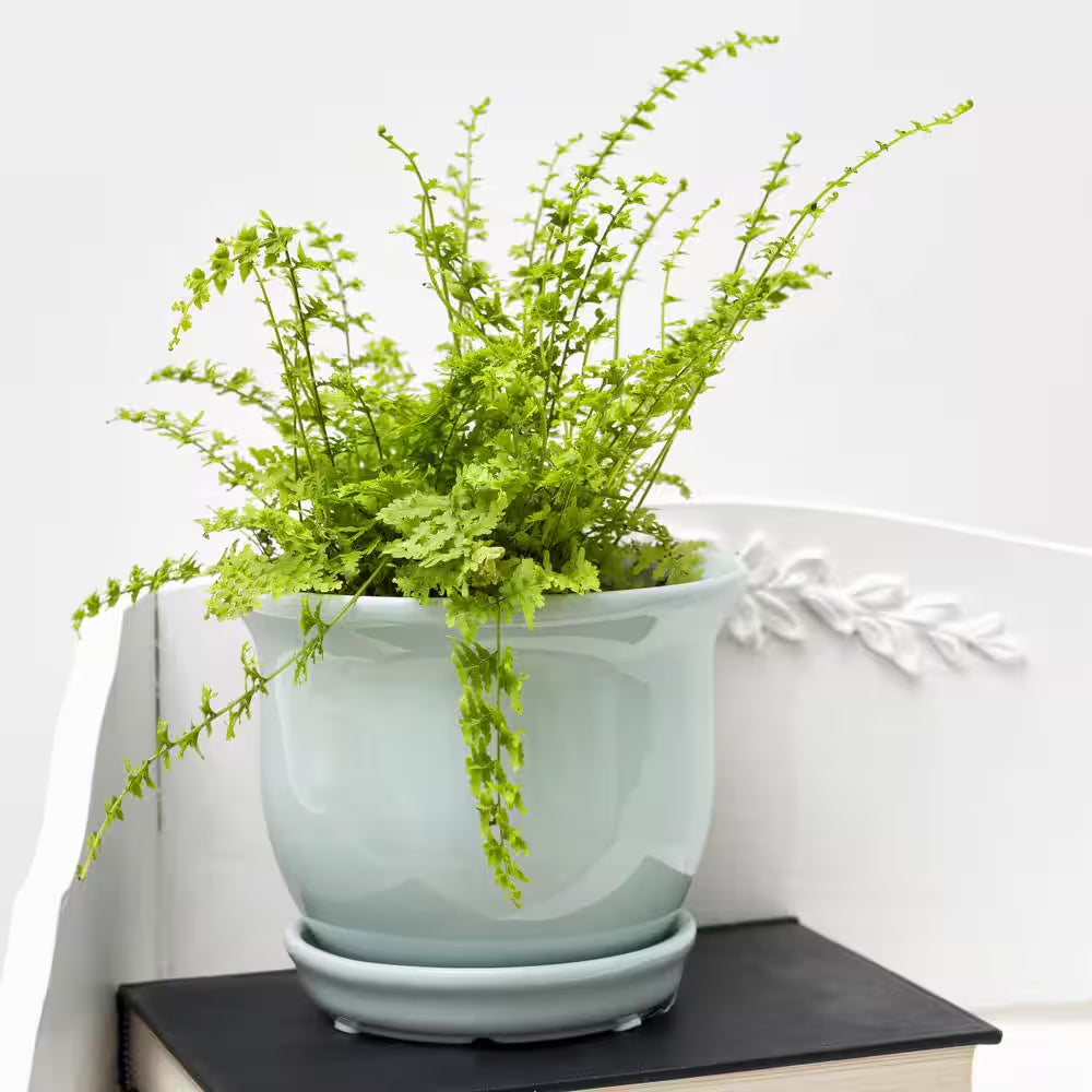 Coralie Small Seabreeze Blue Ceramic Planter with Drainage Hole and Attached Saucer (6 In. L X 6 In. W X 5 In. H)