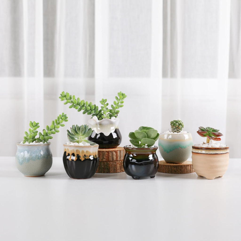 Mini Ceramic Succulent Pots Set of 6, round Tiny Planters with Drainage Holes and Grid Pads, Small Cactus Flower Pots for Windowsill Desk Decor, Gift for Plant Lovers
