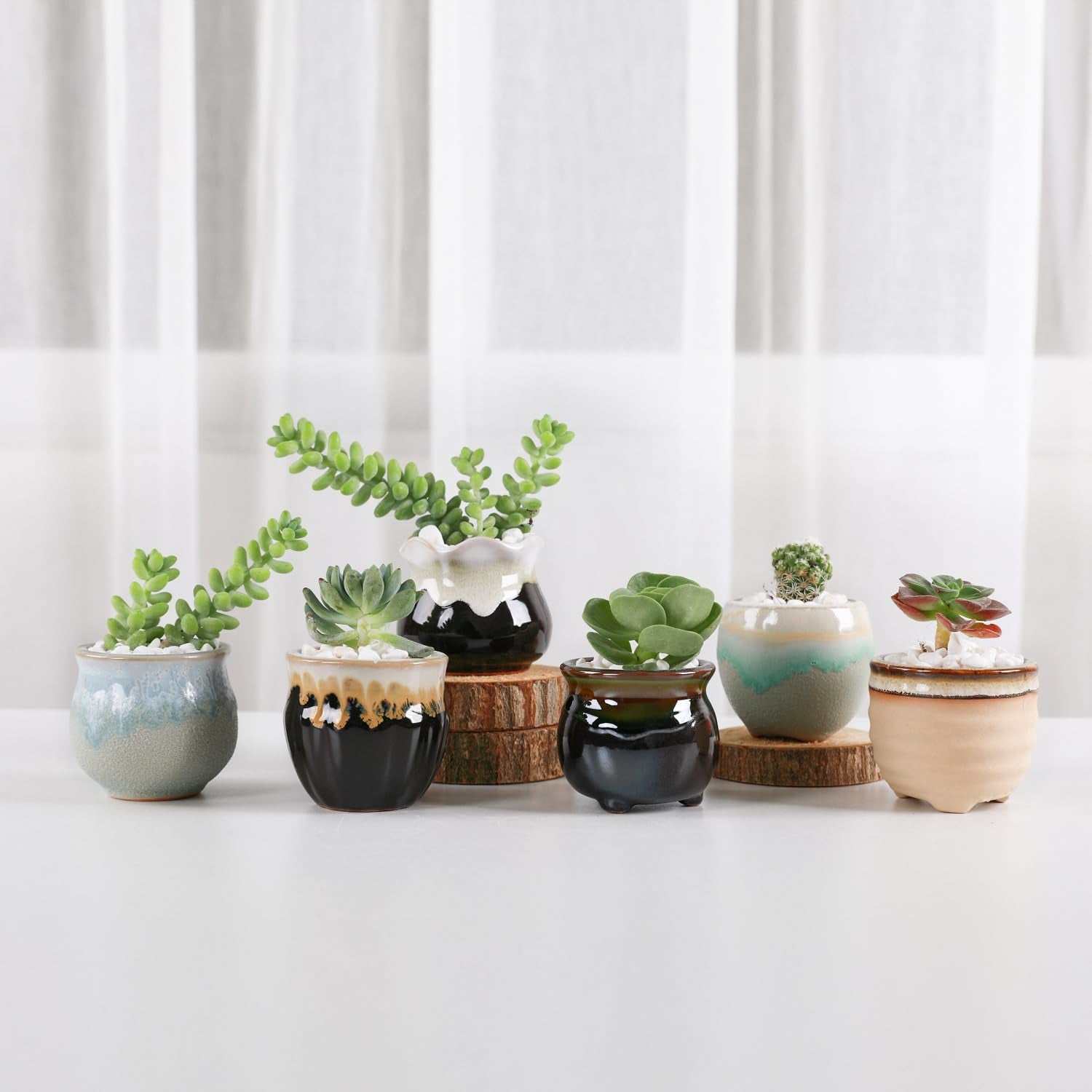Mini Ceramic Succulent Pots Set of 6, round Tiny Planters with Drainage Holes and Grid Pads, Small Cactus Flower Pots for Windowsill Desk Decor, Gift for Plant Lovers