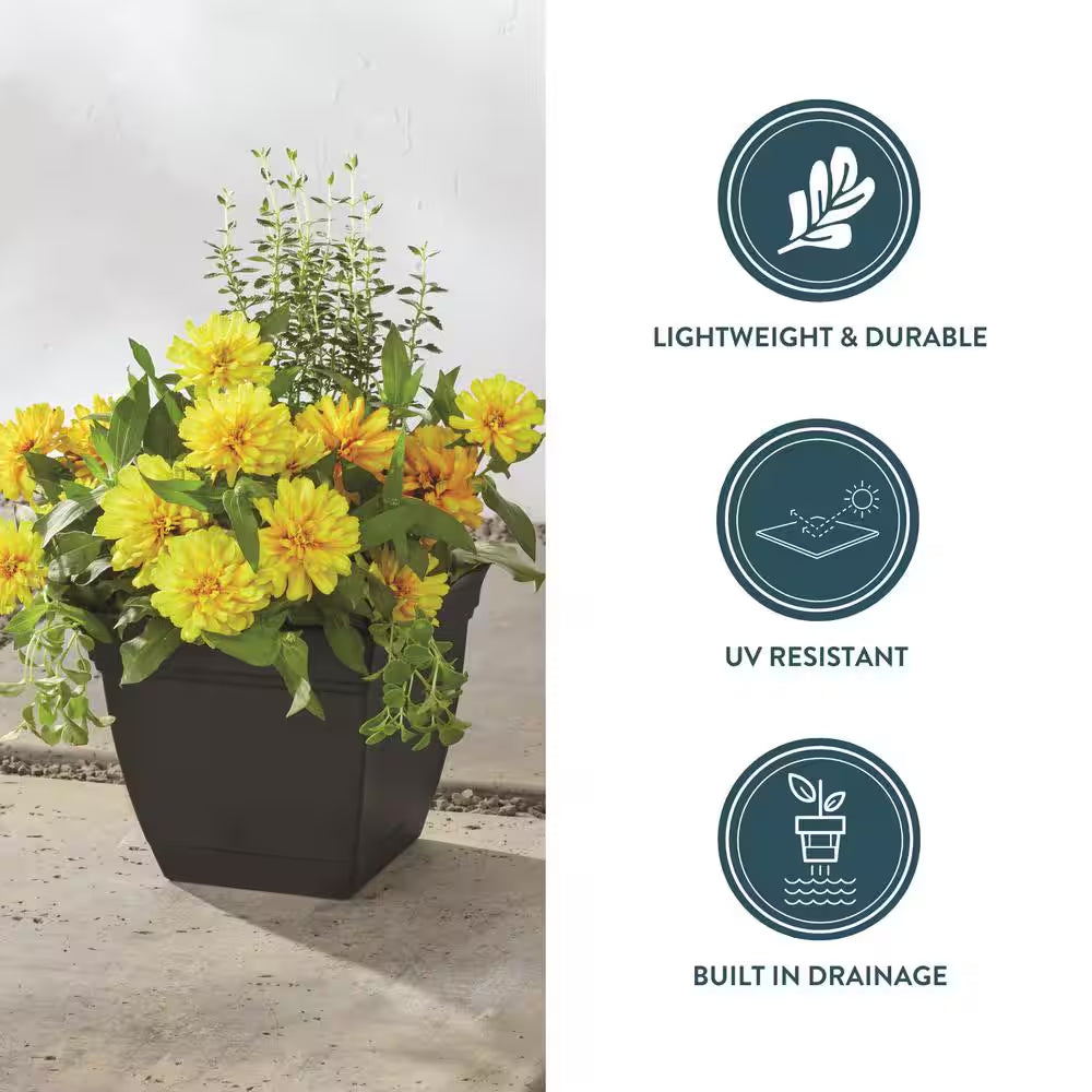 Mirabelle Small Black Plastic Square Planter with Drainage Hole and Attached Saucer (6 In. L X 6 In. W X 5.5 In. H)
