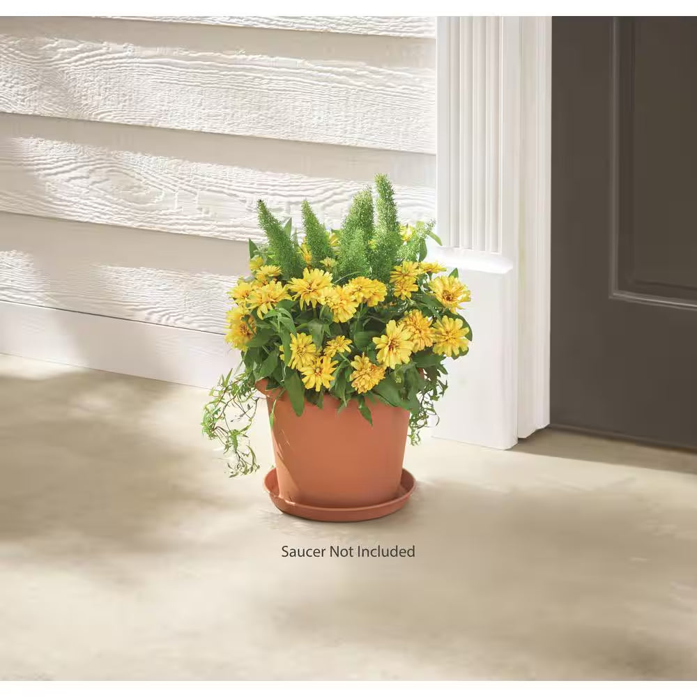 Antonella Medium Clay Plastic Planter with Drainage Hole (10 In. L X 10 In. W X 8 In. H)