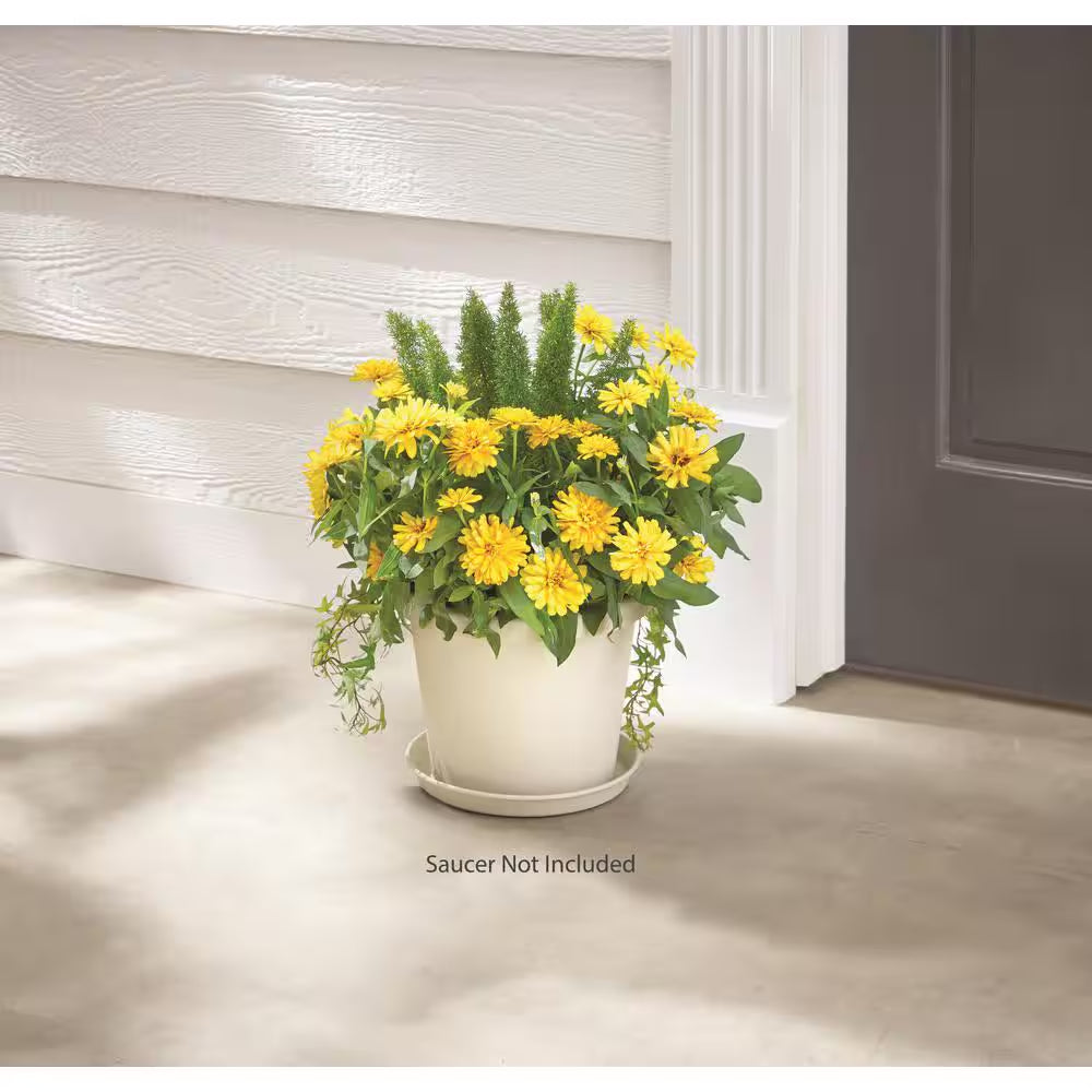 Antonella Medium Cottage Stone Plastic Planter with Drainage Hole (10 In. L X 10 In. W X 8 In. H)
