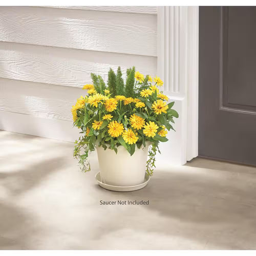 Antonella Medium Cottage Stone Plastic Planter with Drainage Hole (10 In. L X 10 In. W X 8 In. H)